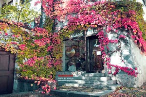 决战紫禁之巅，悬念迭起！联赛冲刺，谁主沉浮？