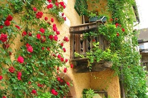 斯洛文尼亚绿意盎然：一场荡涤海峡的胜利，如何巩固“欧洲绿宝石”的王者之路