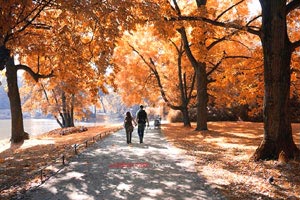 格拉纳达主场荣耀：一场胜利，一座奖杯，一个传奇的诞生